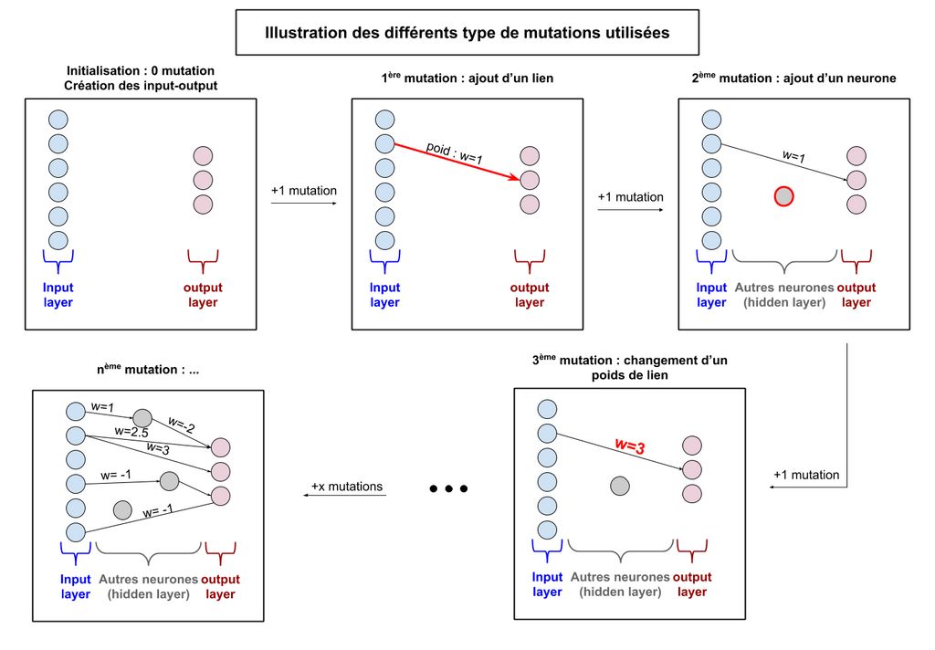 Différentes mutations d'un réseau de neurones